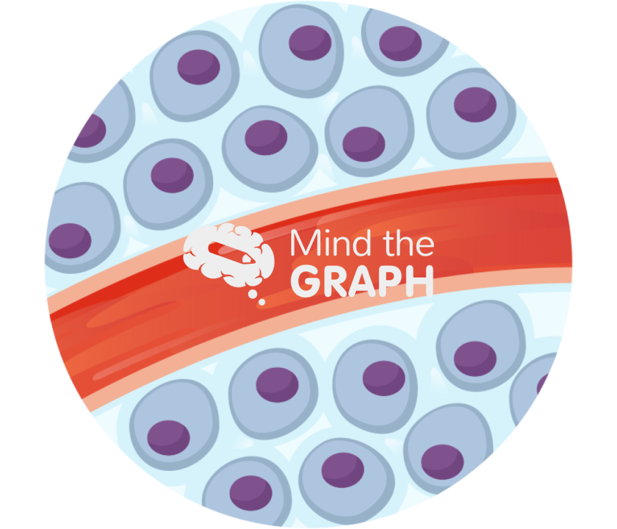 Fluid compartments zoom Icons, Symbols, Pictures, and Images