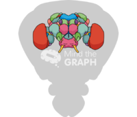 Fly brain body front - Edit and Customize Icons of Fly brain body front Fly brain body front Icons, Symbols, Pictures, and Images