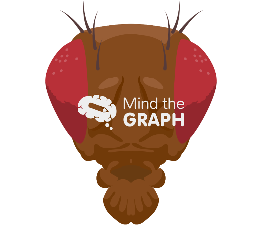 Fly face front Icons, Symbols, Pictures, and Images