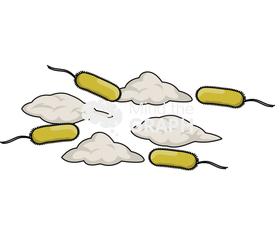 Foam debris microorganisms Icons, Symbols, Pictures, and Images