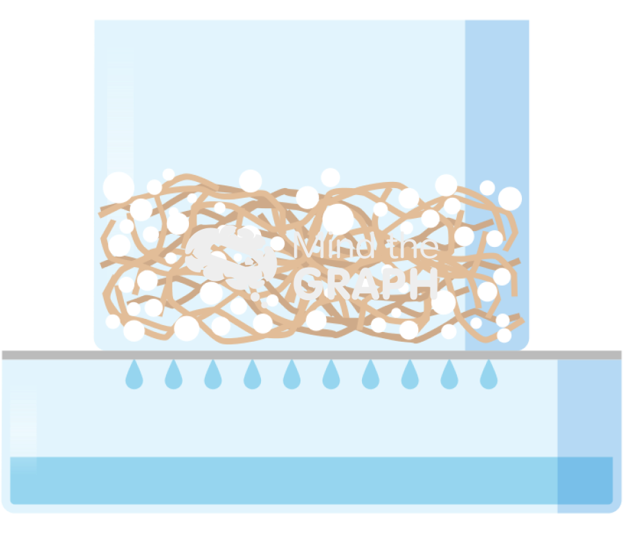 Foam wood pulp draining process Icons, Symbols, Pictures, and Images