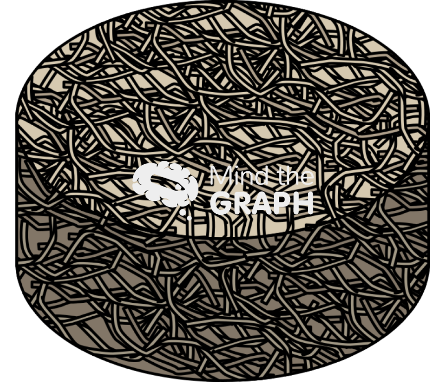 Foam wood pulp drying process Icons, Symbols, Pictures, and Images