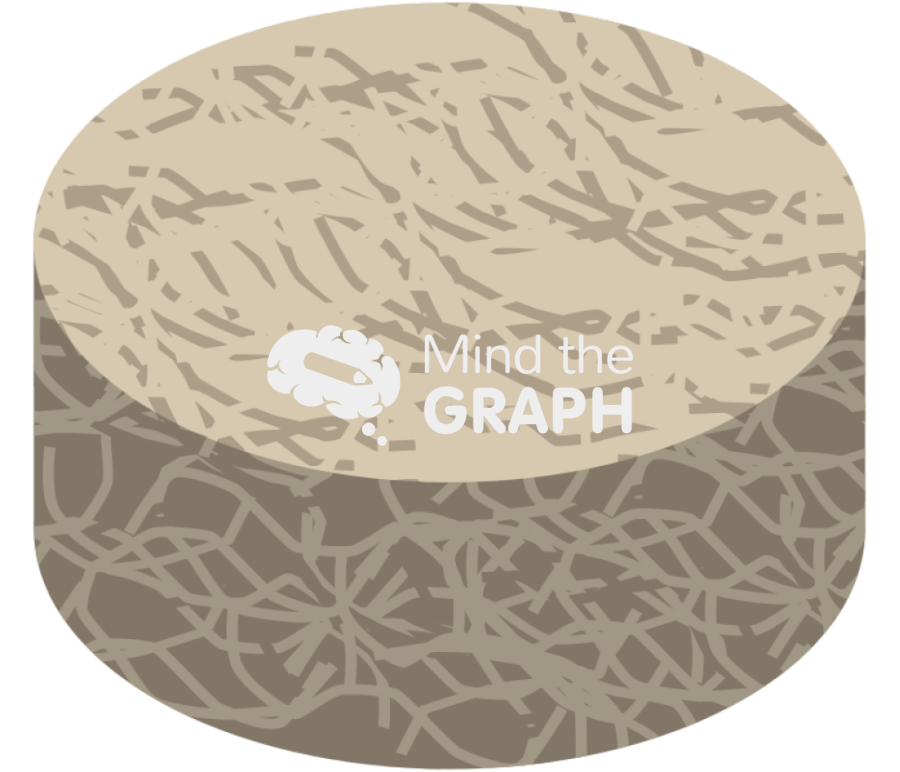 Foam wood pulp drying process Icons, Symbols, Pictures, and Images