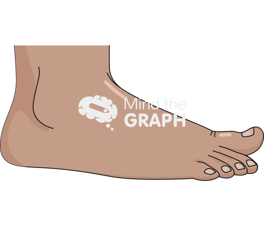 Human foot laterial view Icons, Symbols, Pictures, and Images