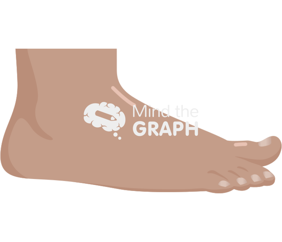 Human foot laterial view Icons, Symbols, Pictures, and Images