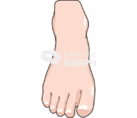 Foot man front caucasian asiatic Icons, Symbols, Pictures, and Images