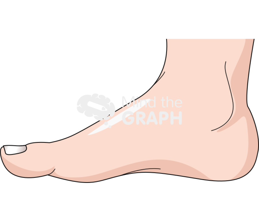 Foot man medial side caucasian asiatic Icons, Symbols, Pictures, and Images