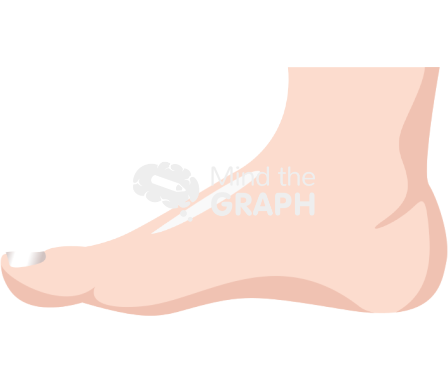 Foot man medial side caucasian asiatic Icons, Symbols, Pictures, and Images