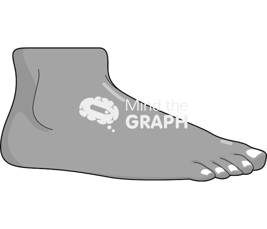 Foot man side tanned Icons, Symbols, Pictures, and Images