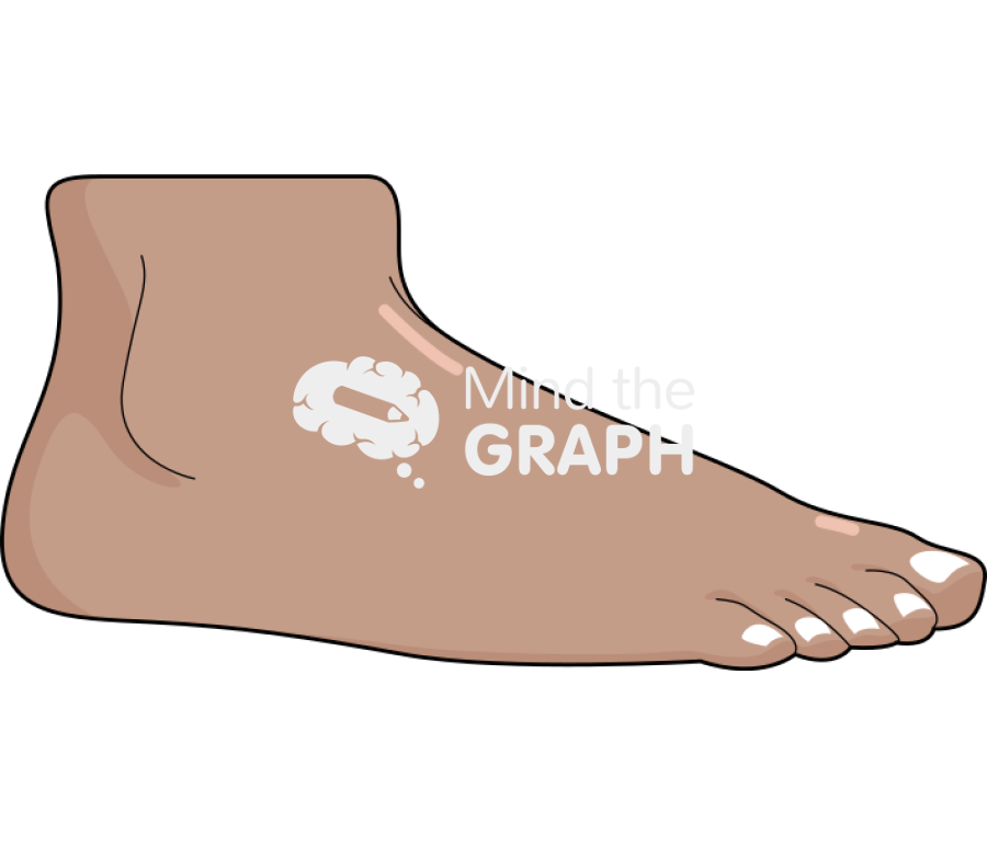 Foot man side tanned Icons, Symbols, Pictures, and Images