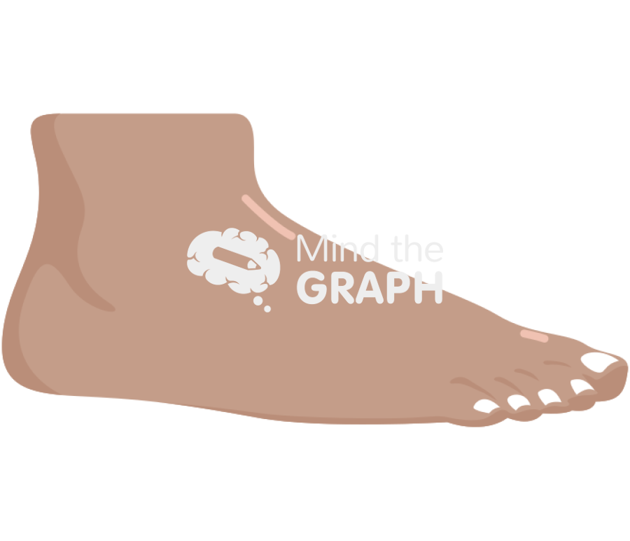 Foot man side tanned Icons, Symbols, Pictures, and Images