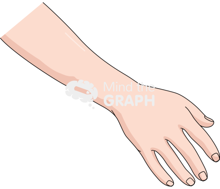 Forearm hand healthy Icons, Symbols, Pictures, and Images