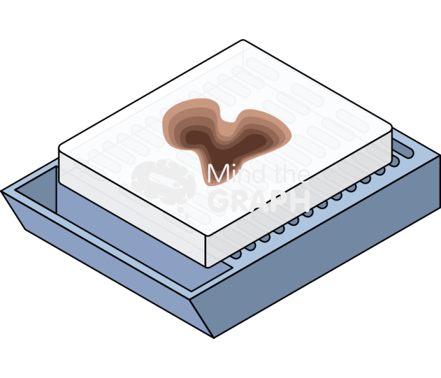 Formalin fixed paraffin embedded ffpe tissue sample Icons, Symbols, Pictures, and Images