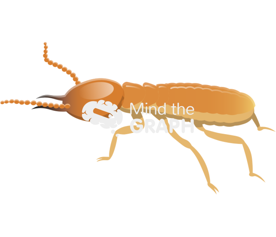 Formosan subterranean termite Icons, Symbols, Pictures, and Images