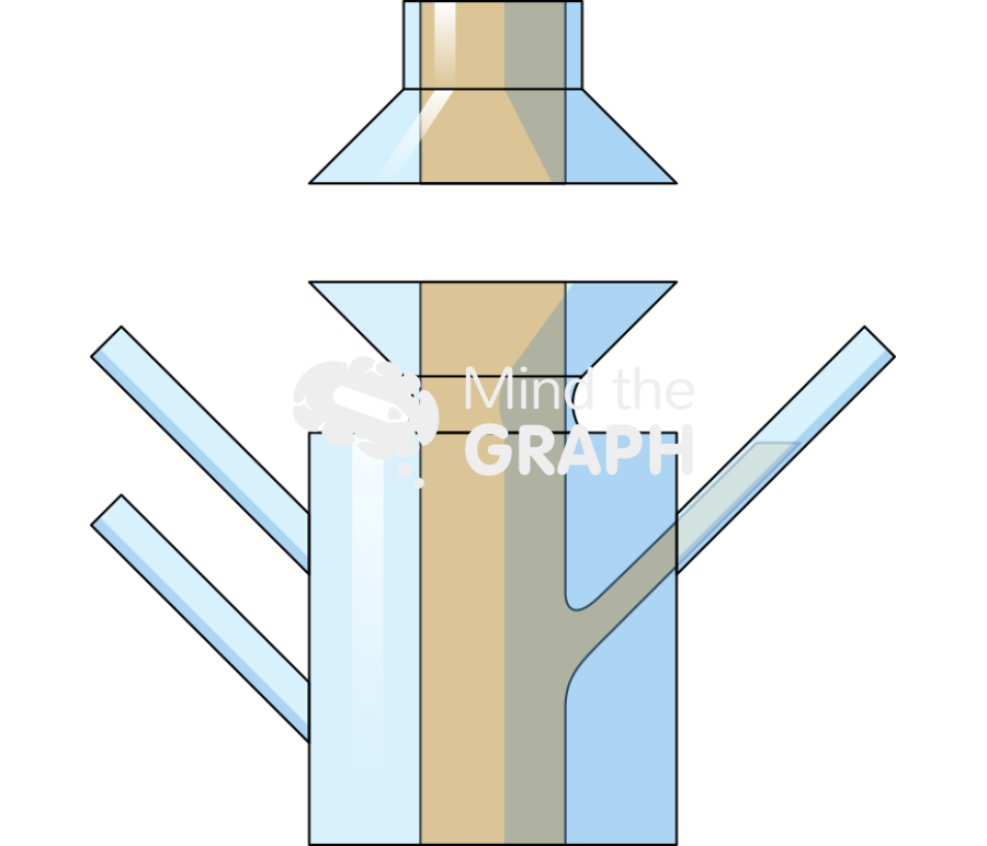 Franz difusion cell lateral Icons, Symbols, Pictures, and Images