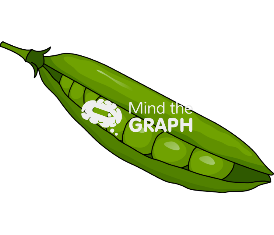 French pea Icons, Symbols, Pictures, and Images