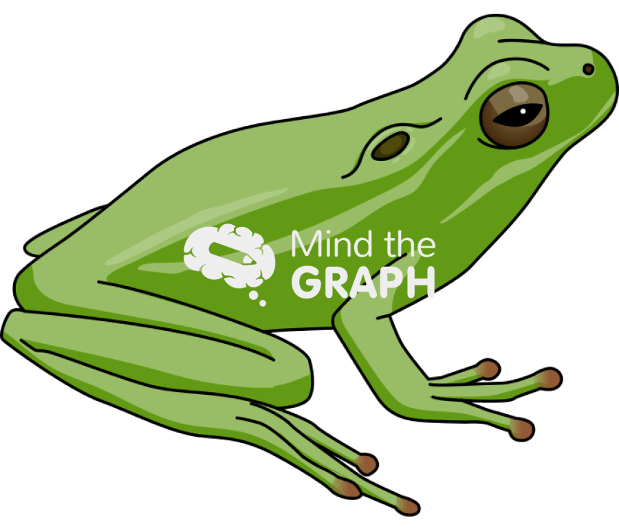 Frog green myiasis Icons, Symbols, Pictures, and Images