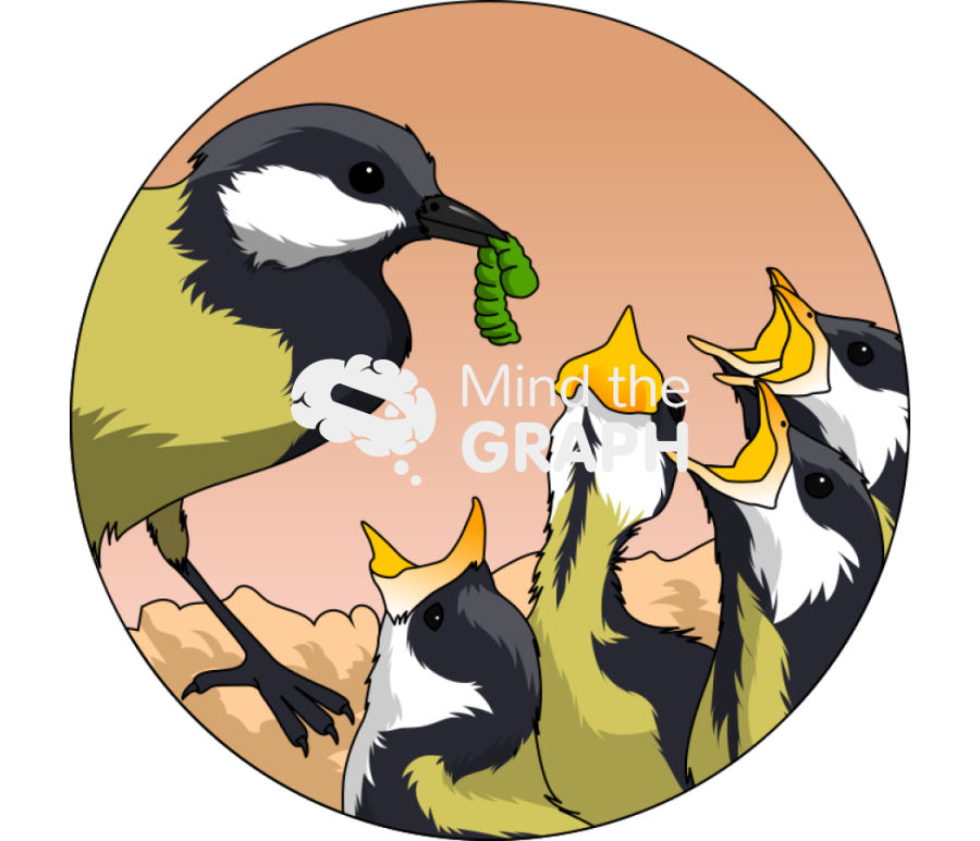 Full nest great tit chicks zoom Icons, Symbols, Pictures, and Images