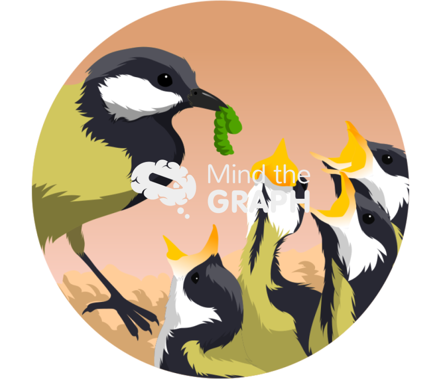 Full nest great tit chicks zoom Icons, Symbols, Pictures, and Images