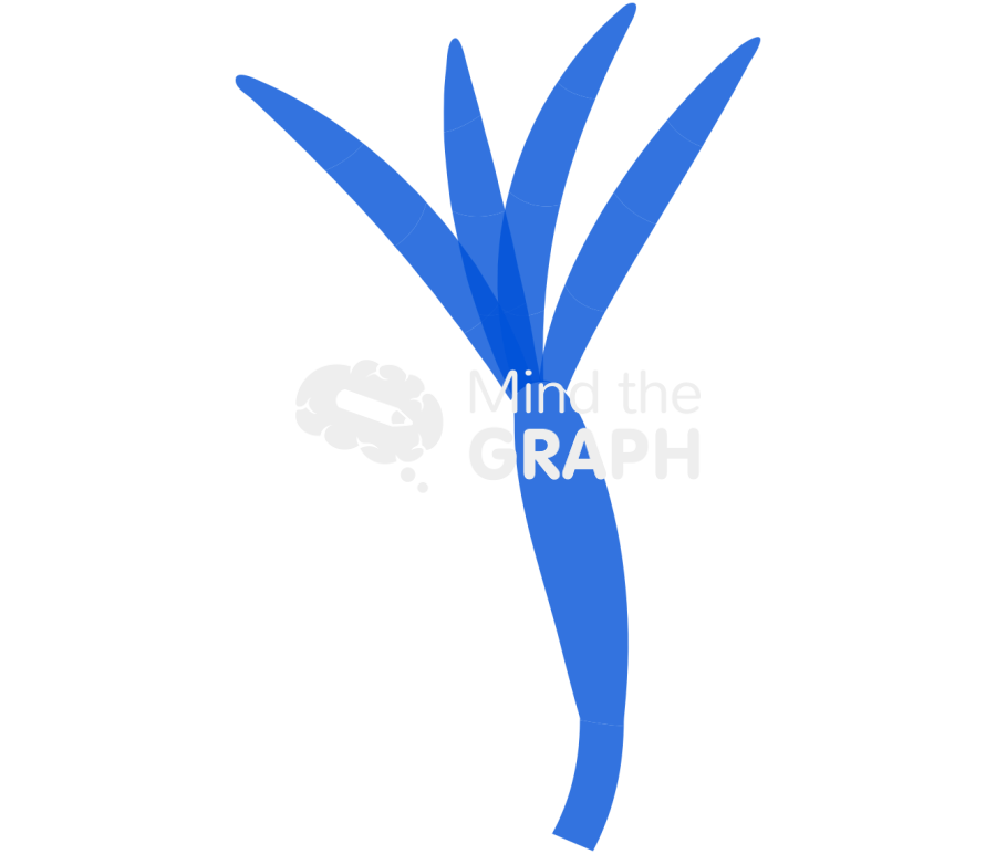 Fusarium 1 Icons, Symbols, Pictures, and Images