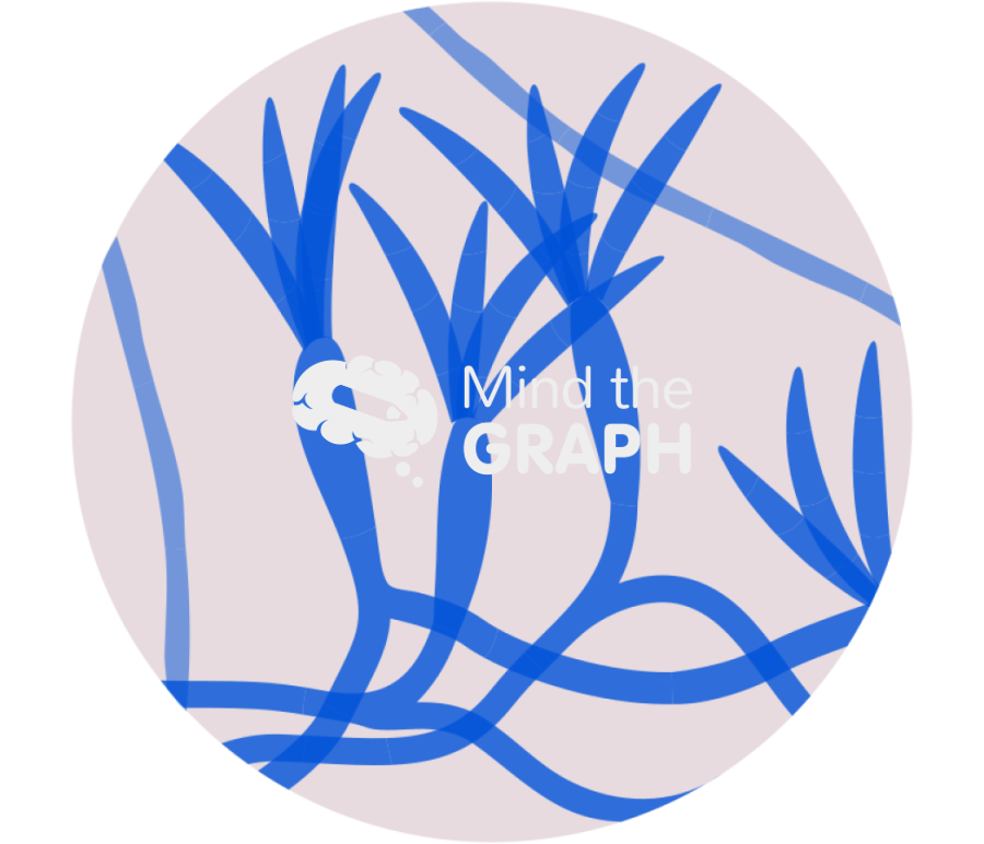 Fusarium zoom Icons, Symbols, Pictures, and Images