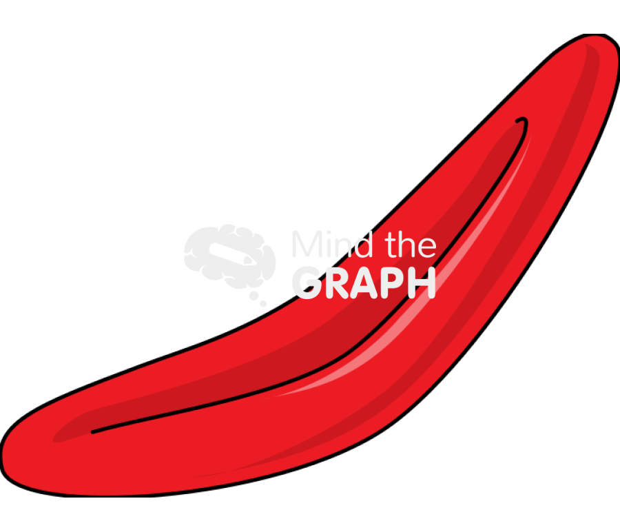 Fusiform erythrocyte 2 Icons, Symbols, Pictures, and Images