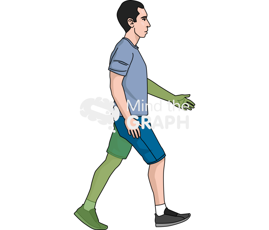 Gait event 1 Icons, Symbols, Pictures, and Images