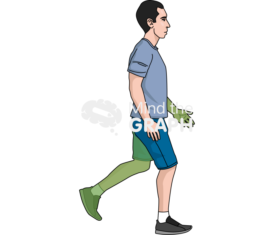 Gait event 3 Icons, Symbols, Pictures, and Images