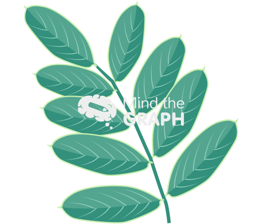 Galega officinalis leaves Icons, Symbols, Pictures, and Images