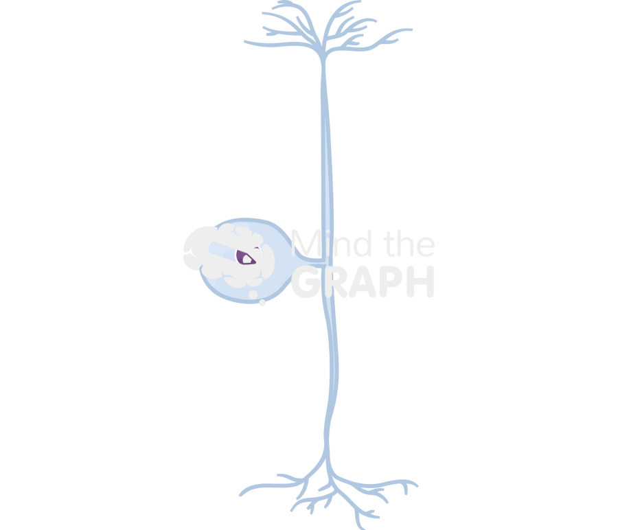 Ganglion neuron Icons, Symbols, Pictures, and Images