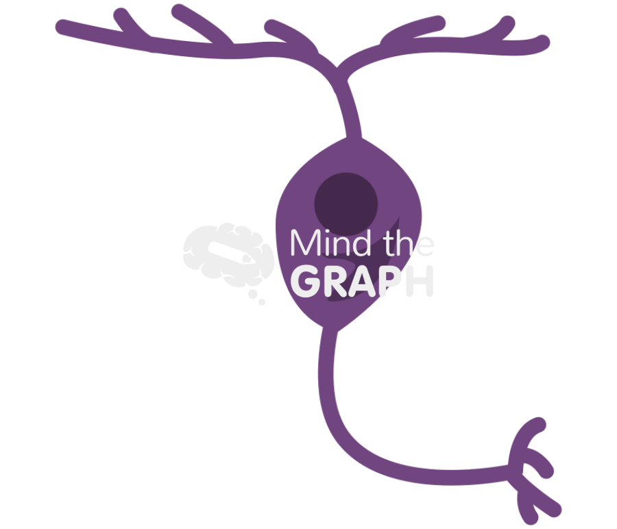 Ganglion retina Icons, Symbols, Pictures, and Images