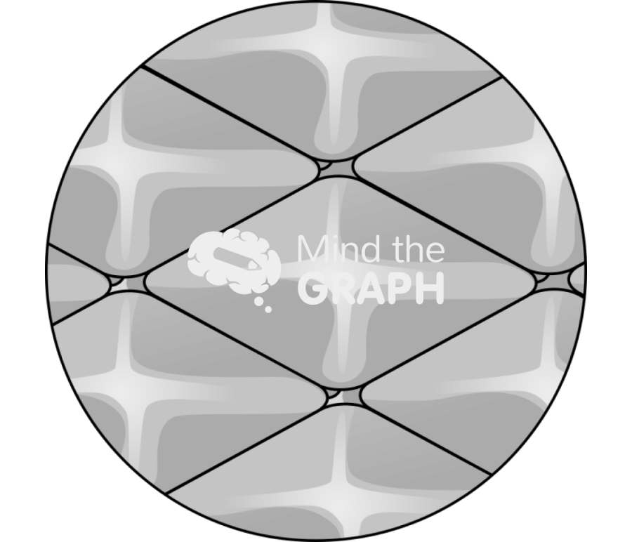 Ganoid scale pattern zoom Icons, Symbols, Pictures, and Images
