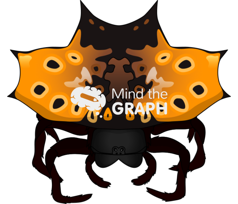 Gasteracantha cancriformis spider orange black morph Icons, Symbols, Pictures, and Images