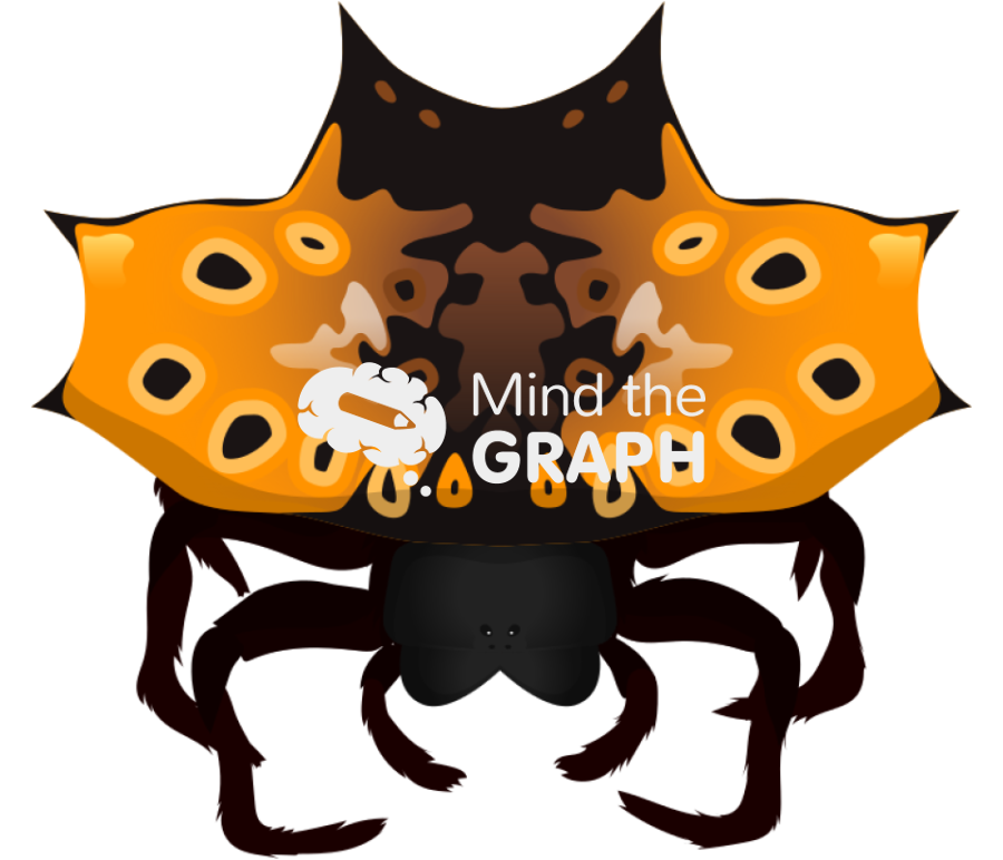 Gasteracantha cancriformis spider orange black morph Icons, Symbols, Pictures, and Images