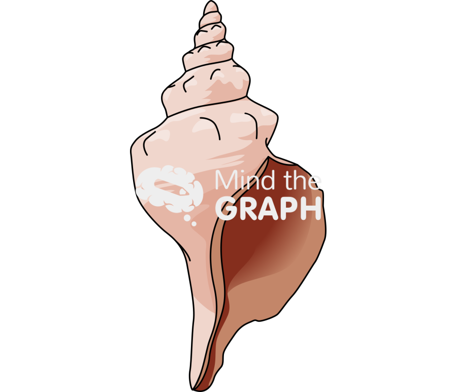 Gastropoda Icons, Symbols, Pictures, and Images