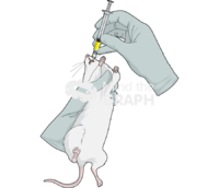 Gavage - Edit and Customize Icons of Gavage Gavage Icons, Symbols, Pictures, and Images