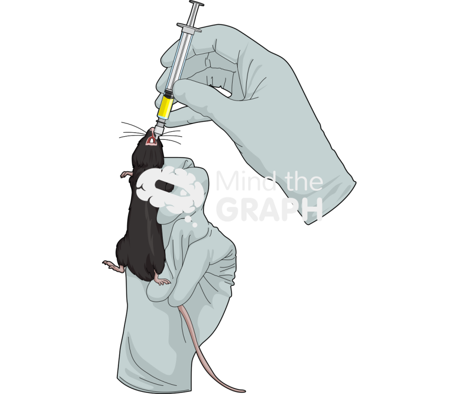 Gavage c57bi6 Icons, Symbols, Pictures, and Images