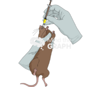 Gavage rat brown - Edit and Customize Icons of Gavage rat brown Gavage rat brown Icons, Symbols, Pictures, and Images