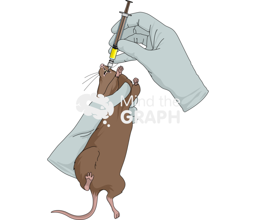 Gavage rat brown Icons, Symbols, Pictures, and Images