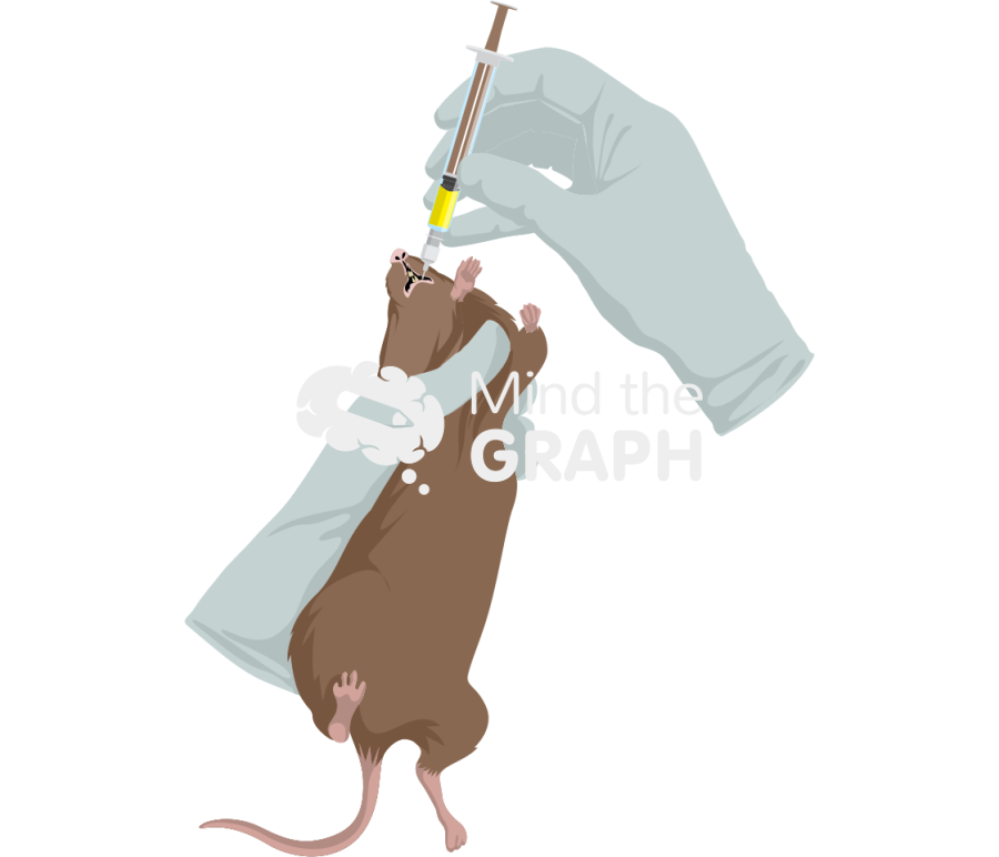 Gavage rat brown Icons, Symbols, Pictures, and Images