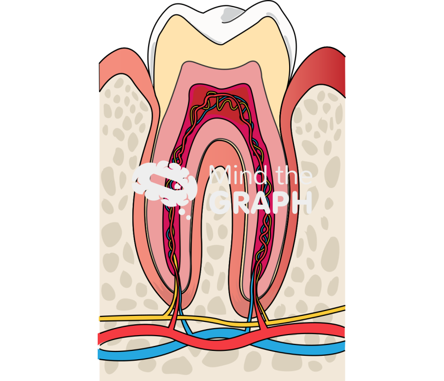 Gengivitis Icons, Symbols, Pictures, and Images
