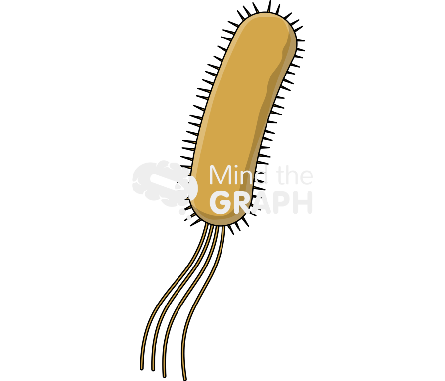 Geobacter metallireducens Icons, Symbols, Pictures, and Images