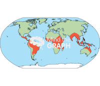 Geographic meliponini distribution tropical subtropical regions world map Icons, Symbols, Pictures, and Images