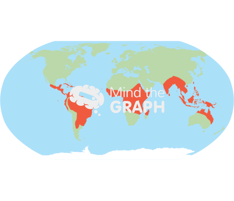 Geographic meliponini distribution tropical subtropical regions world map Icons, Symbols, Pictures, and Images