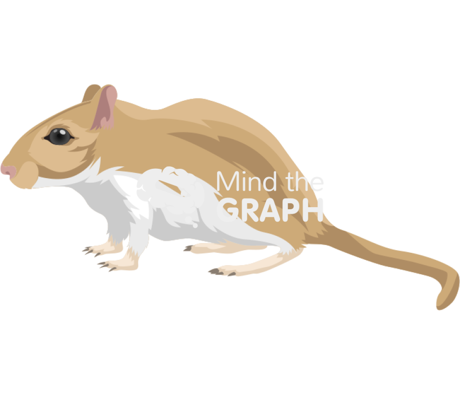 Gerbil mariones unguiculatus Icons, Symbols, Pictures, and Images