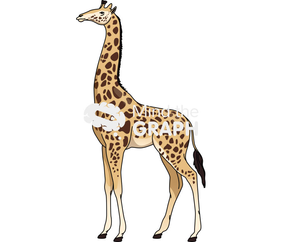 Giraffe Icons, Symbols, Pictures, and Images