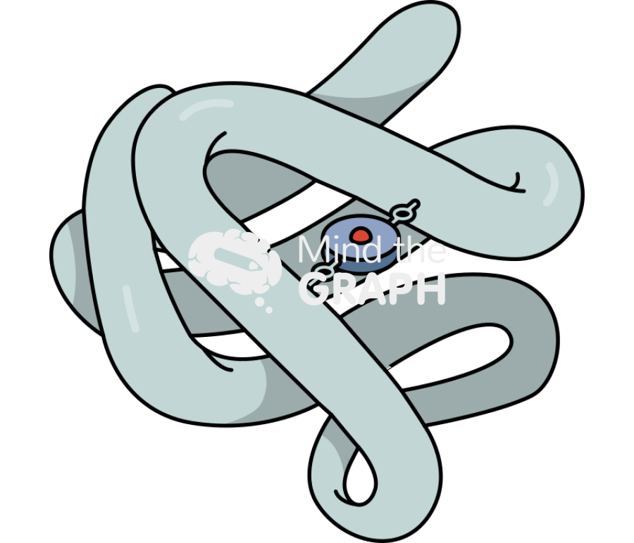 Globin chain 1 Icons, Symbols, Pictures, and Images