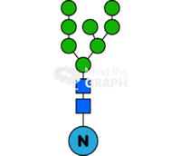 Glycans 1 Icons, Symbols, Pictures, and Images