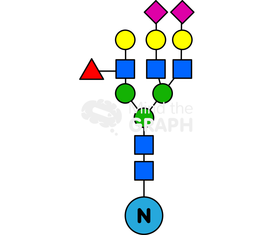 Glycans 3 Icons, Symbols, Pictures, and Images