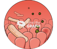 Good bad bacteria zoom - Edit and Customize Icons of Good bad bacteria zoom Good bad bacteria zoom Icons, Symbols, Pictures, and Images